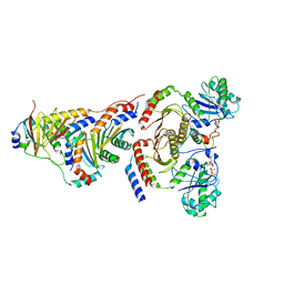 BU of 6wj3 by Molmil