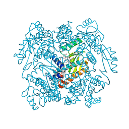 BU of 6wj4 by Molmil