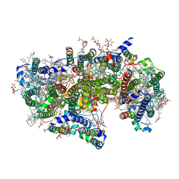 BU of 6wj6 by Molmil