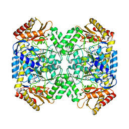 BU of 6wj8 by Molmil