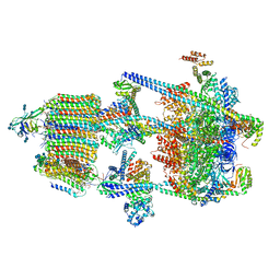 BU of 6wm2 by Molmil