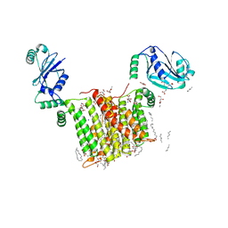 BU of 6wm5 by Molmil