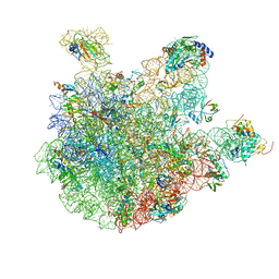 BU of 6wnt by Molmil