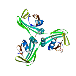 BU of 6wp0 by Molmil