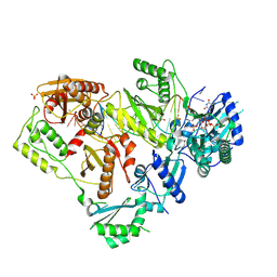 BU of 6wpf by Molmil