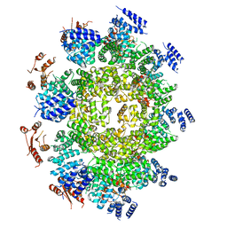 BU of 6wpk by Molmil