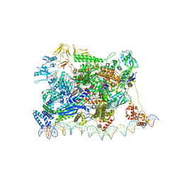 AU of 6wr6 by Molmil