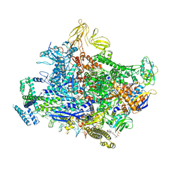 AU of 6wr8 by Molmil