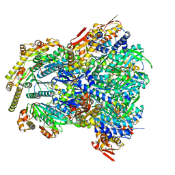 AU of 6wrf by Molmil