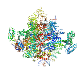 AU of 6wrg by Molmil