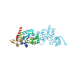 BU of 6wrq by Molmil