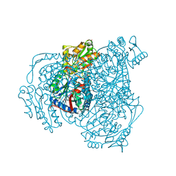 BU of 6wsa by Molmil