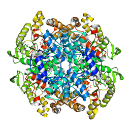 BU of 6wsi by Molmil