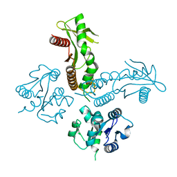 BU of 6wt6 by Molmil