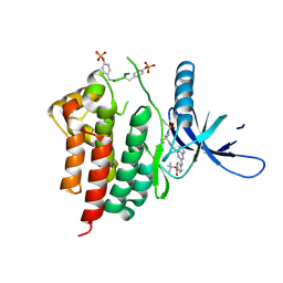 BU of 6wtp by Molmil