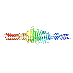 BU of 6wv2 by Molmil