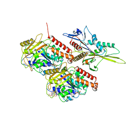 BU of 6wwp by Molmil