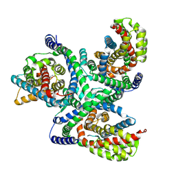 BU of 6x3e by Molmil