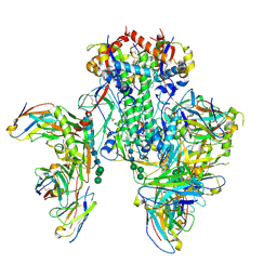 BU of 6x5b by Molmil