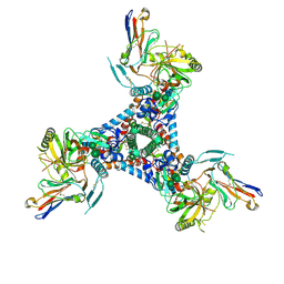 BU of 6x5c by Molmil