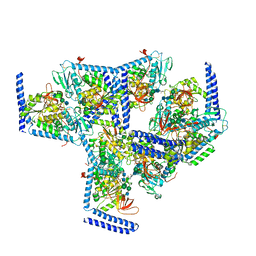 AU of 6x5u by Molmil