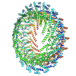 BU of 6x6j by Molmil