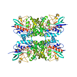 BU of 6xbb by Molmil