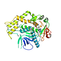 BU of 6xcb by Molmil