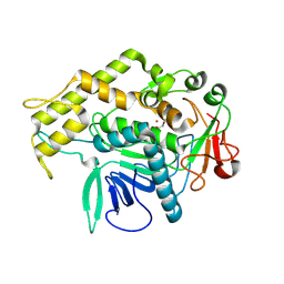 BU of 6xcc by Molmil