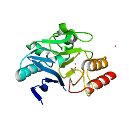 BU of 6xci by Molmil