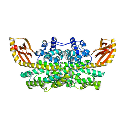 BU of 6xcv by Molmil