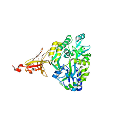 BU of 6xds by Molmil