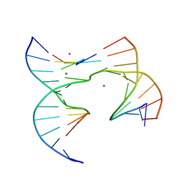 BU of 6xdx by Molmil