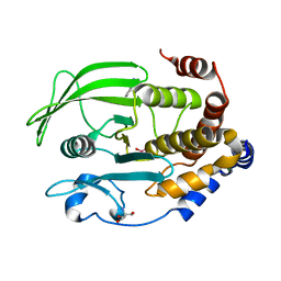 BU of 6xea by Molmil