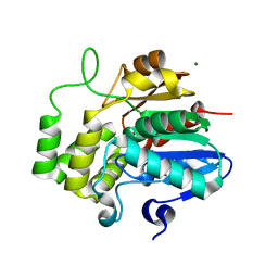 BU of 6xfo by Molmil