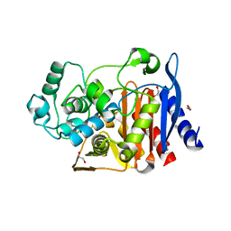 BU of 6xg1 by Molmil