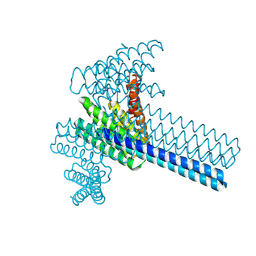 BU of 6xi6 by Molmil