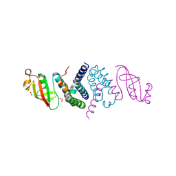 BU of 6xip by Molmil