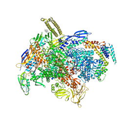 AU of 6xlm by Molmil