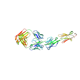 BU of 6xlq by Molmil