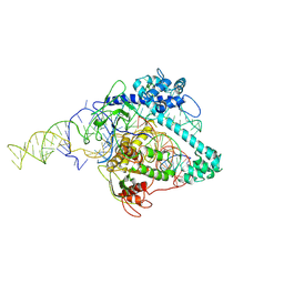 BU of 6xmg by Molmil