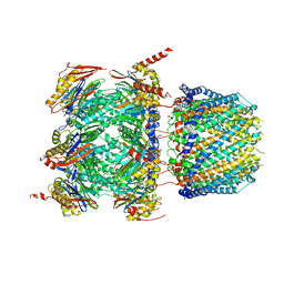 BU of 6xmj by Molmil