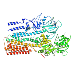 BU of 6xms by Molmil