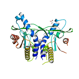 BU of 6xnp by Molmil