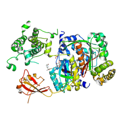 BU of 6xog by Molmil