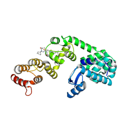 BU of 6xol by Molmil