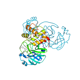 BU of 6xr3 by Molmil