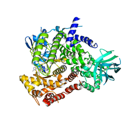 BU of 6xrl by Molmil