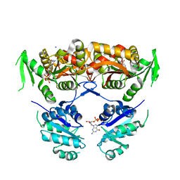 BU of 6xrs by Molmil