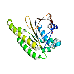 BU of 6xuj by Molmil